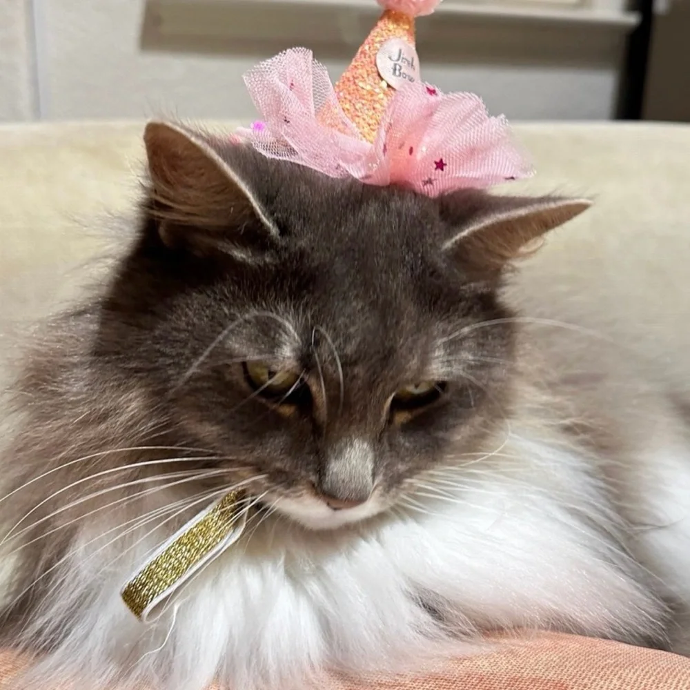 Pink and Gold Cat Party Hat
